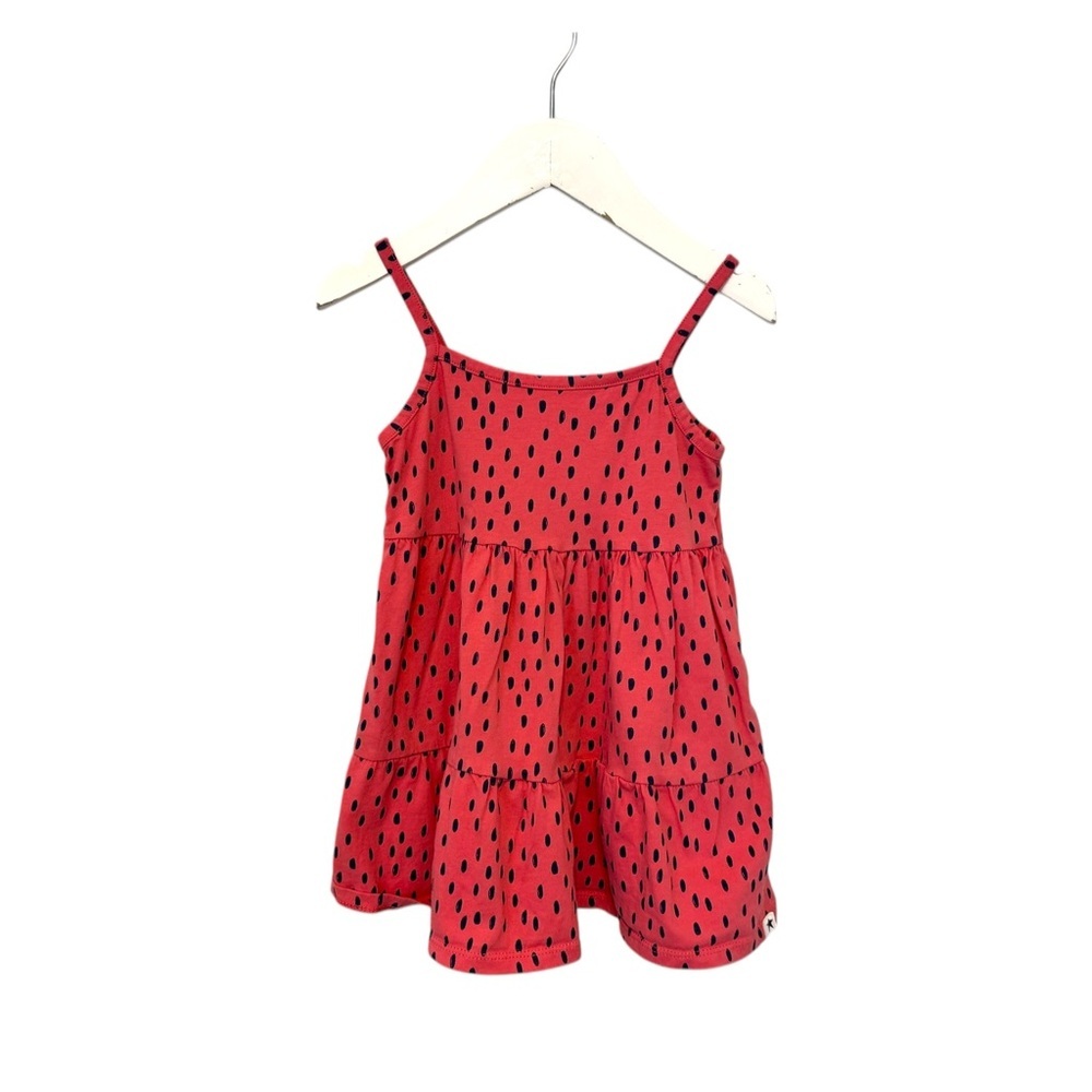 ⭐️ 5/$30 Rise Little Earthling Dress size 18-24 Months